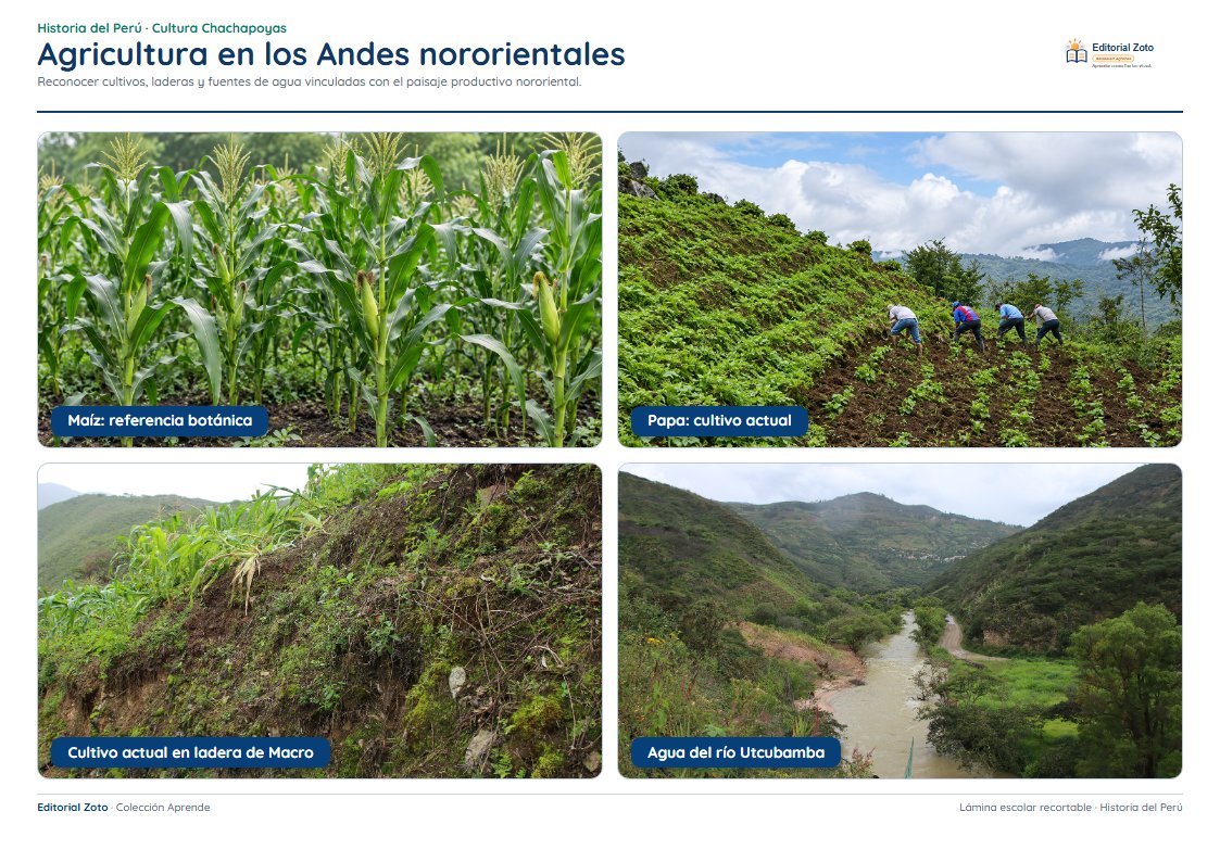 Vista previa de la lámina: Agricultura en los Andes nororientales