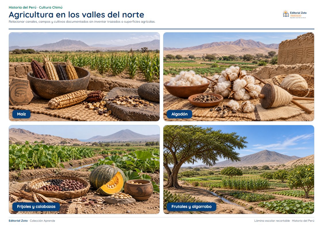 Vista previa de la lámina: Agricultura en los valles del norte
