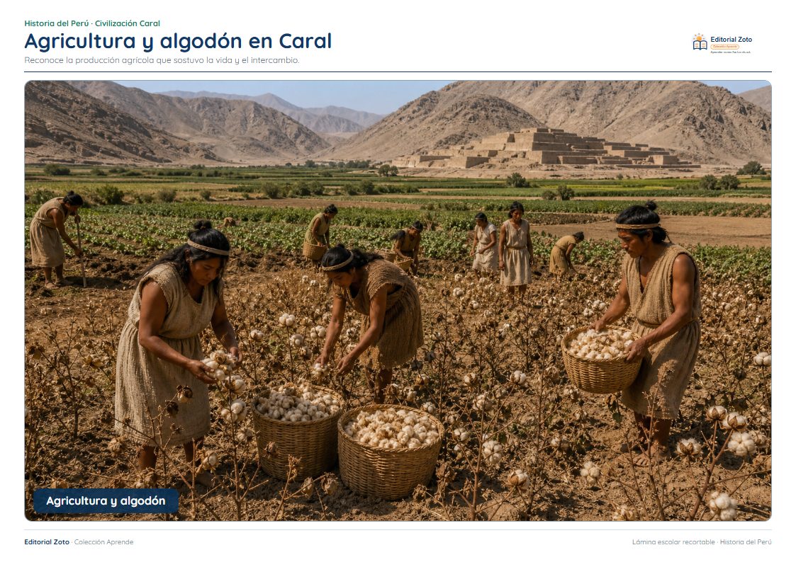 Imagen representativa de Agricultura y algodón en Caral