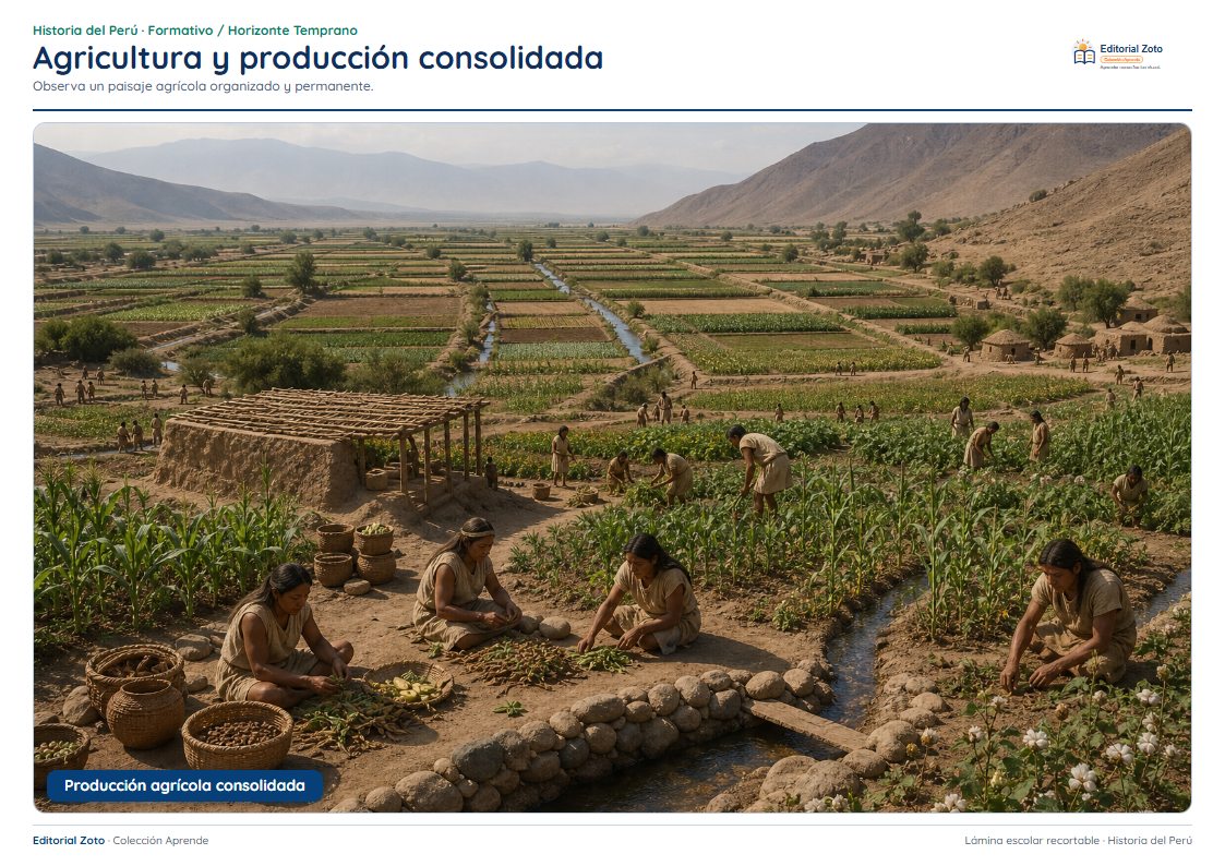 Imagen representativa de Agricultura y producción consolidada