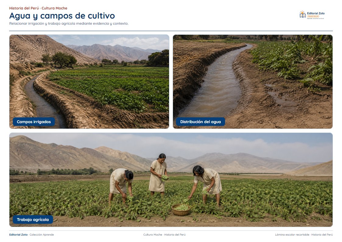 Imagen representativa de Agricultura, pesca y alimentación