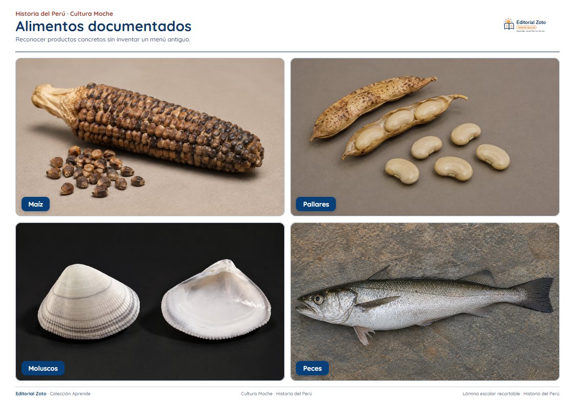Vista previa de la lámina: Alimentos documentados