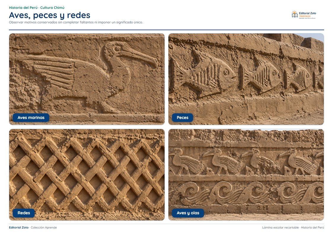Vista previa de la lámina: Aves, peces y redes