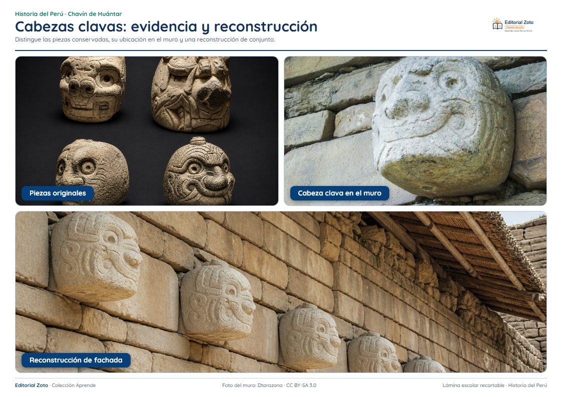 Imagen representativa de Cabezas clavas evidencia y reconstrucción