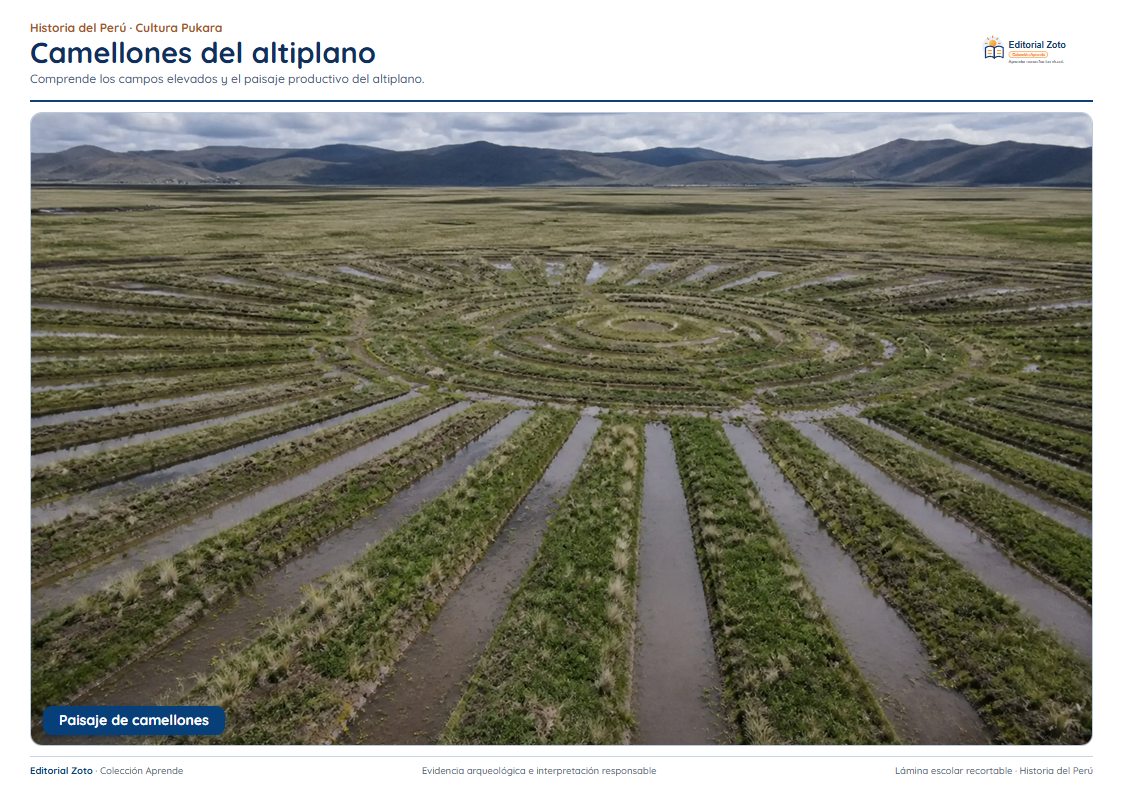 Imagen representativa de Agricultura camellones y paisaje productivo