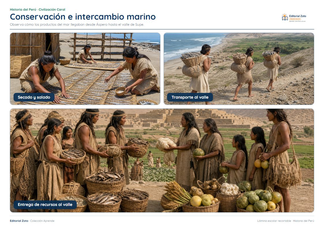 Vista previa de la lámina: Conservación e intercambio marino
