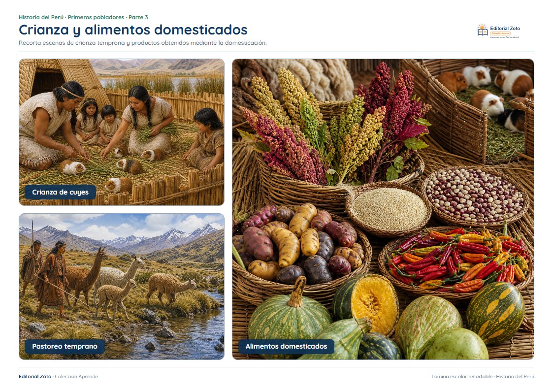 Vista previa de la lámina: Crianza y alimentos domesticados