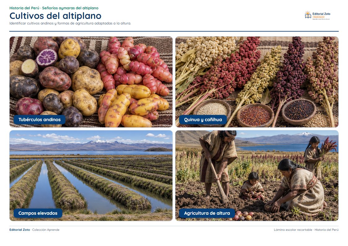 Vista previa de la lámina: Cultivos del altiplano