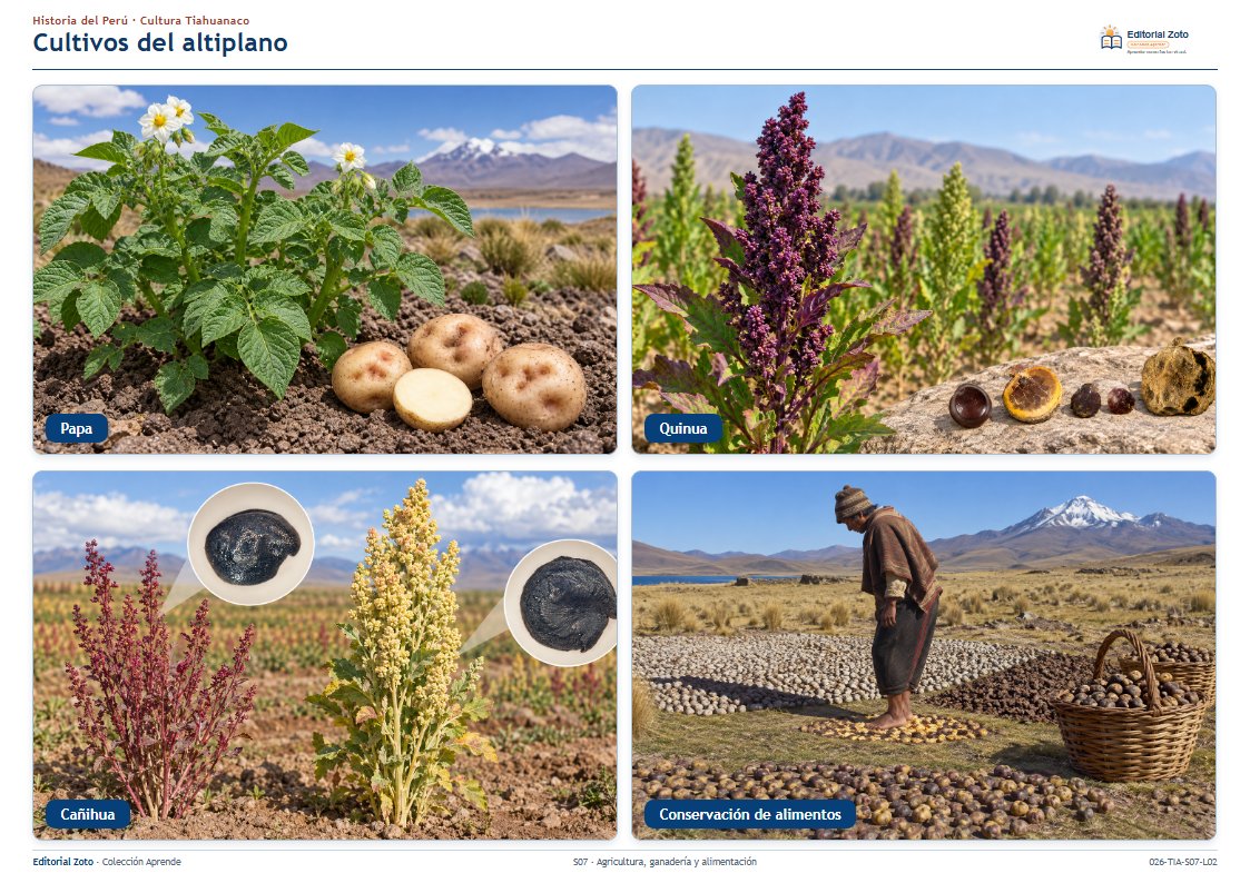 Vista previa de la lámina: Cultivos del altiplano