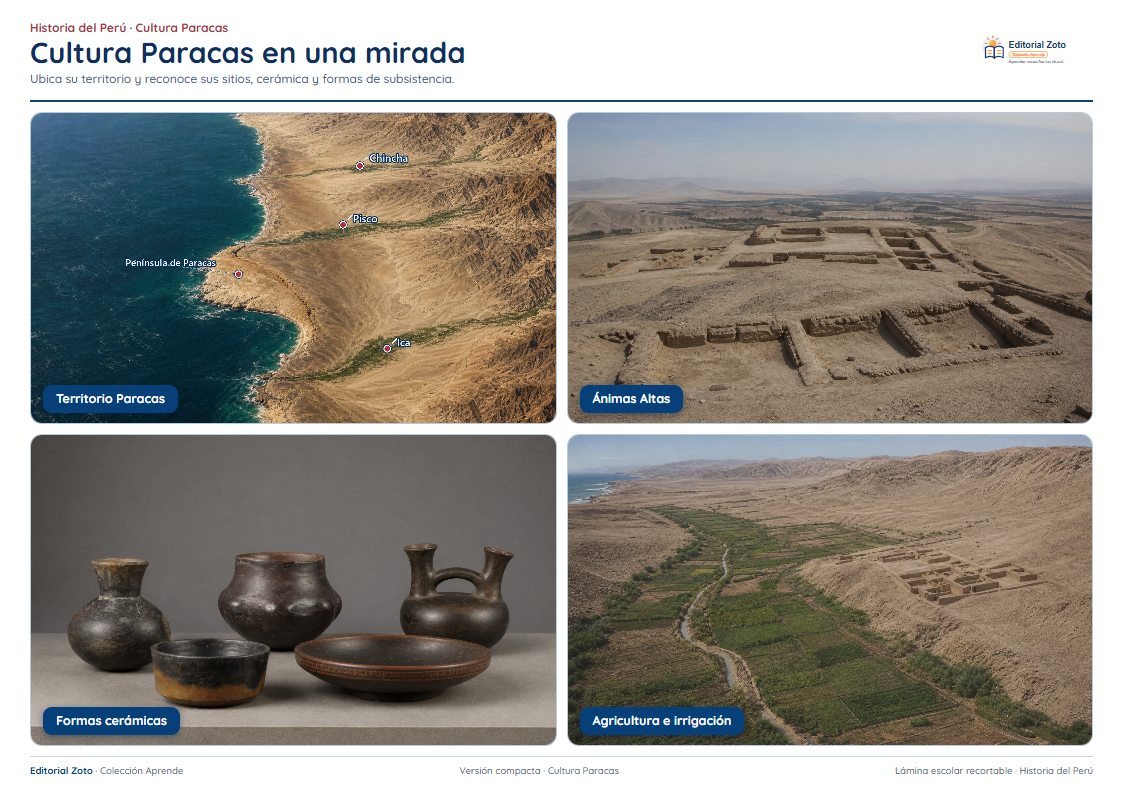 Imagen representativa de Síntesis visual cultura Paracas