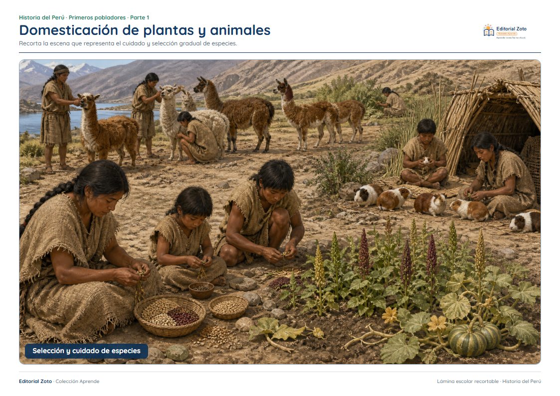 Vista previa de la lámina: Domesticación de plantas y animales