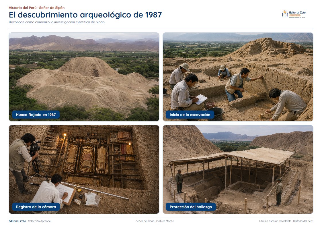 Imagen representativa de Descubrimiento, conservación y museos