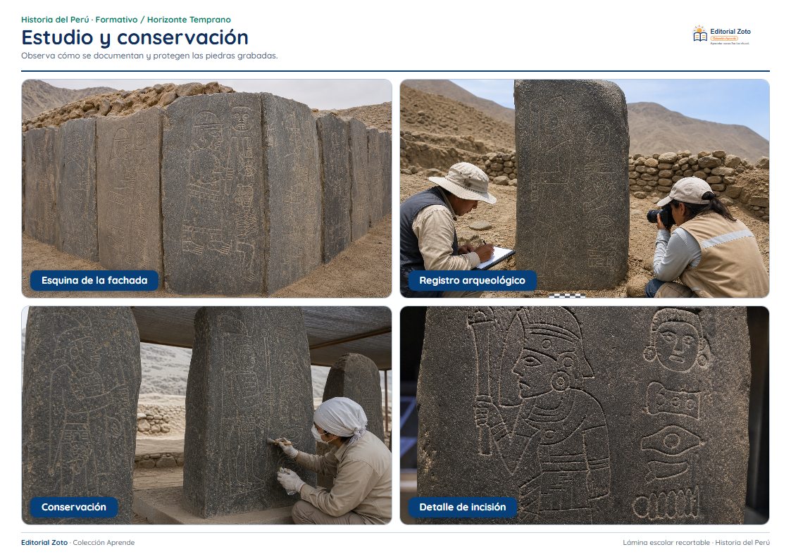Vista previa de la lámina: Estudio y conservación