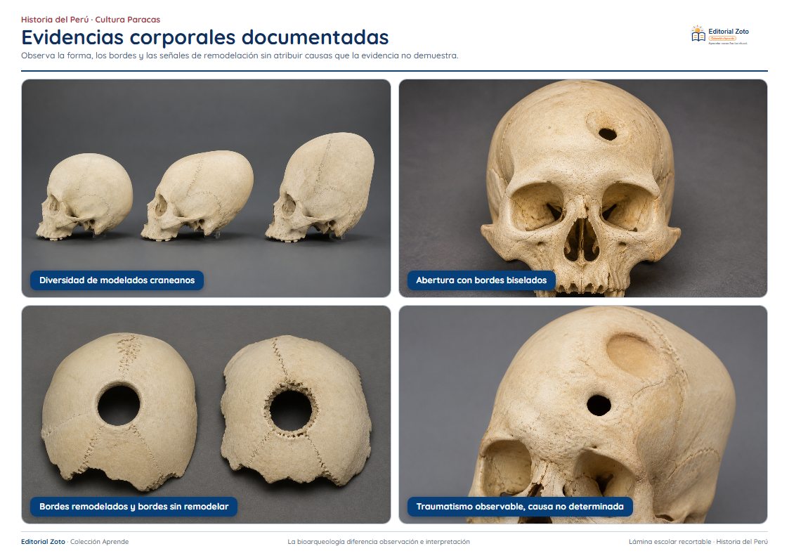 Vista previa de la lámina: Evidencias corporales documentadas