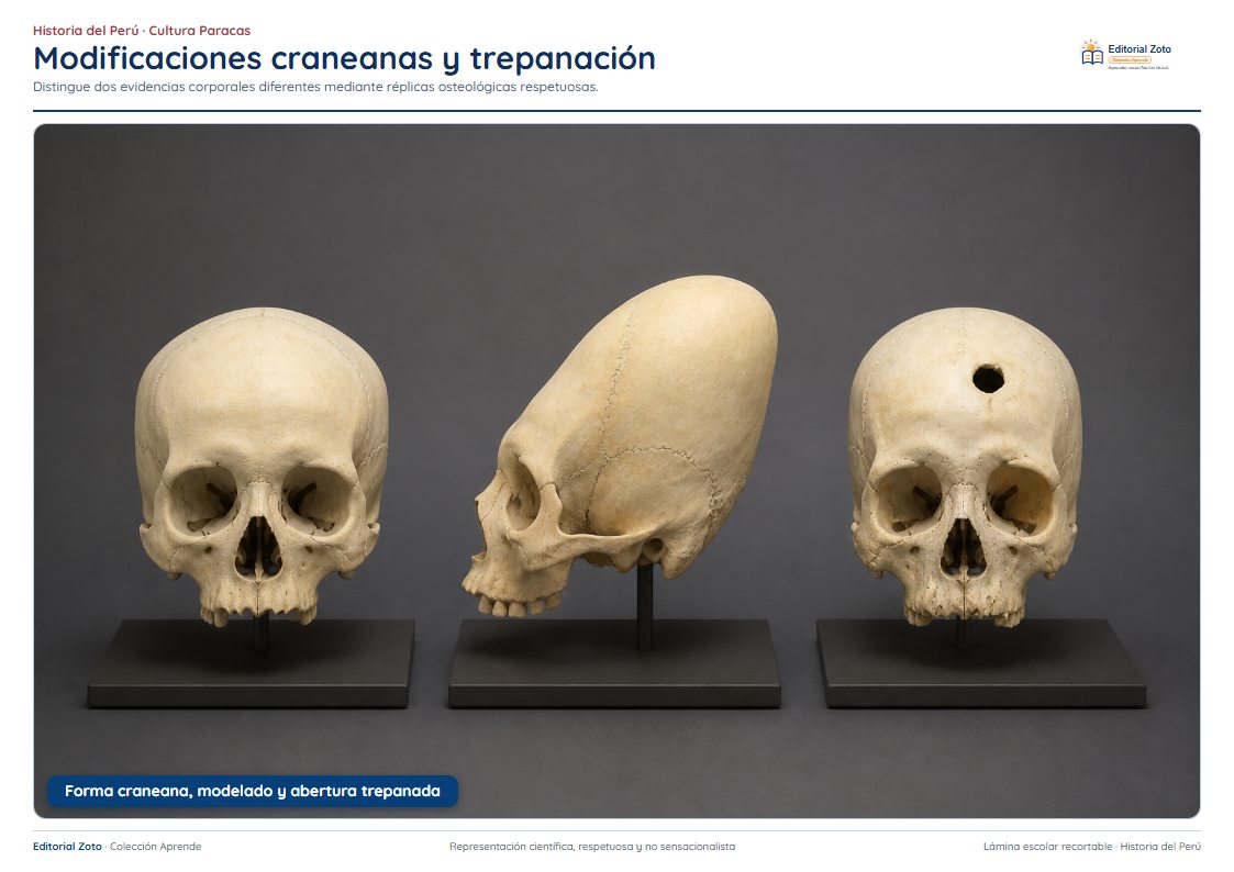 Imagen representativa de Modificaciones craneanas y trepanaciones