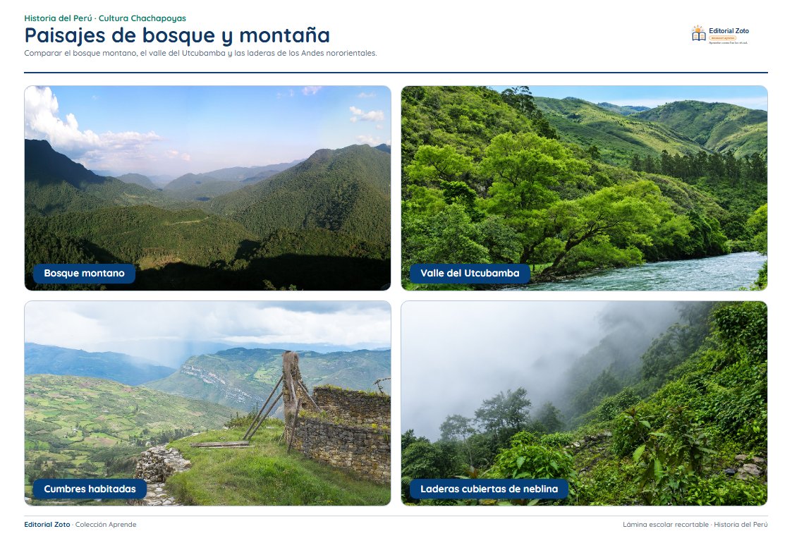 Vista previa de la lámina: Paisajes de bosque y montaña