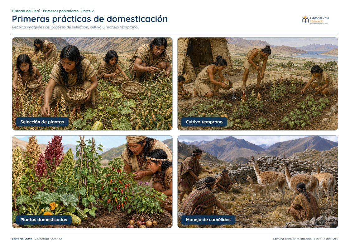 Vista previa de la lámina: Primeras prácticas de domesticación