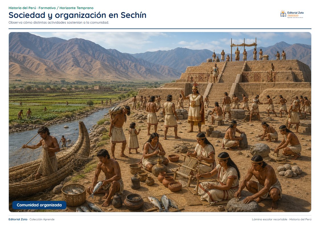 Imagen representativa de Sociedad y organización